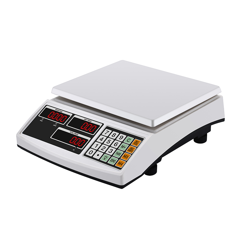 RJ-318 30Kg Double Plates Design Digital Electronic Weighing Scales 