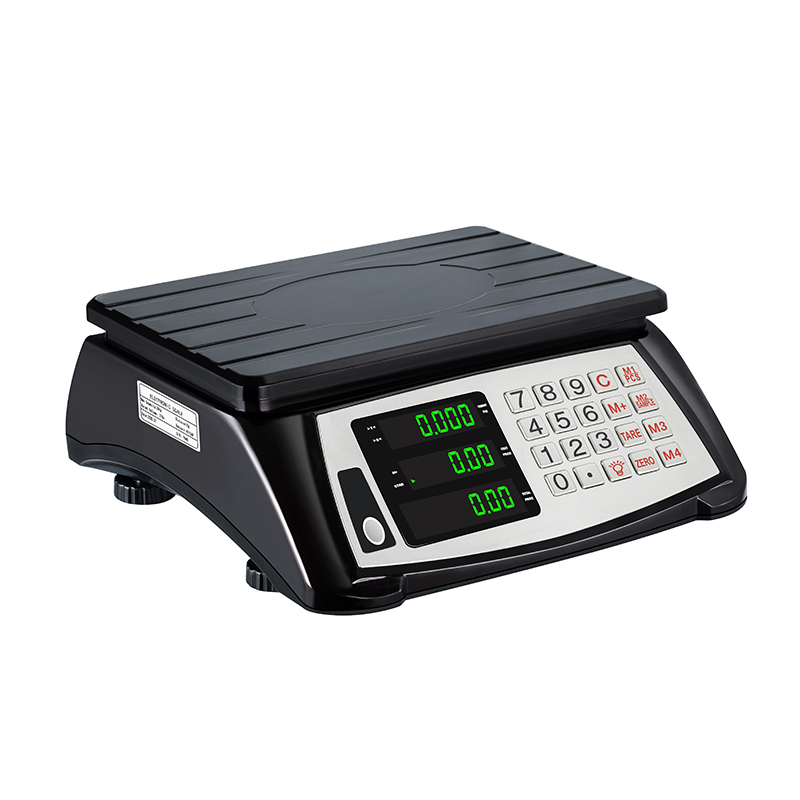 RJ-5606 Waterproof 30Kg Balanza Pricing Computing Electronic Weighing Scales 