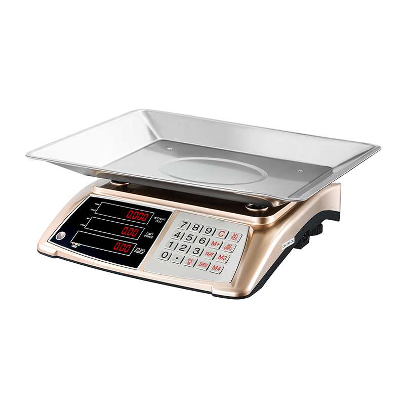 RJ-5029 Heighten Plate 30Kg Balanza Pricing Computing Electronic Weighing Scales 