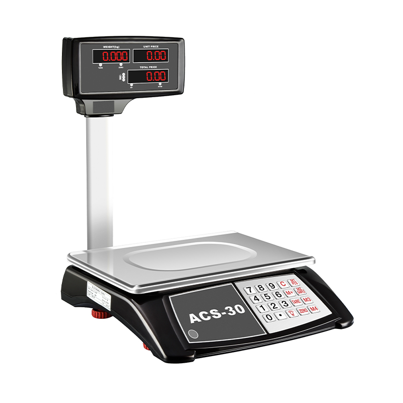 RJ-2030B Competitive Price High Precision Electronic Waterproof Price Computing Digital Weighing Scale