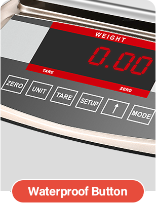 RJ-5027 30Kg Electronic Weighing Scale With Computer Interface Counting  Function Computing - Buy 30KG Computing Food Meat Vegetables Scale,  Commercial Food Meat Weighting Scale 66Ib, Computing Scale with LCD Display  for Retail