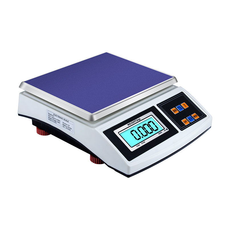 RJ-3002 Double Plates with LCT Load Cell 30Kg/1g Pricing Computing Electronic Weighing Scale