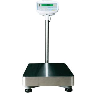 The Balance Scale