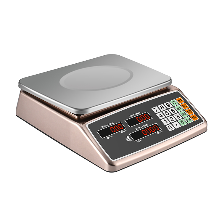 RJ-5605 30Kg Balanza Pricing Computing Electronic Weighing Scales 